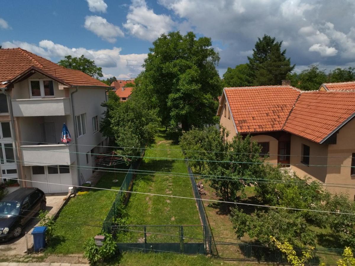 Vila Lenka Sokobanja Exteriör bild