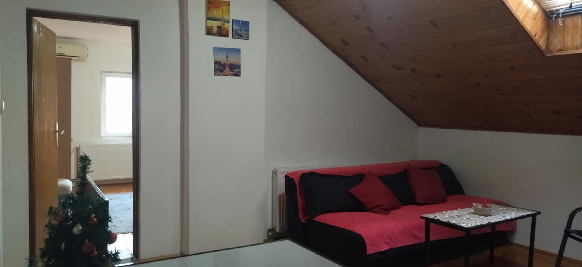 Vila Lenka Sokobanja Rum bild