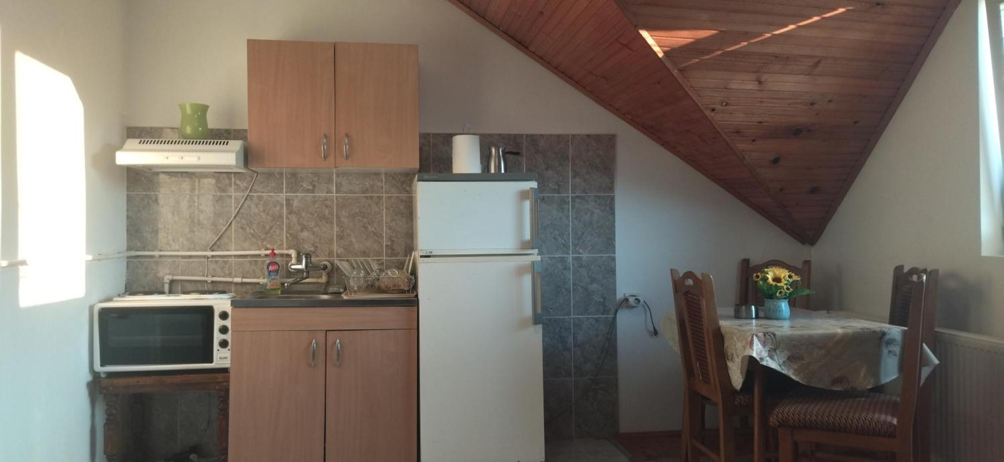 Vila Lenka Sokobanja Rum bild