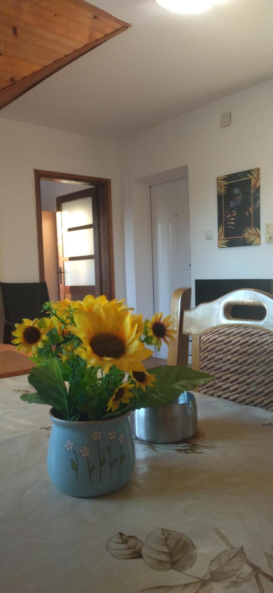 Vila Lenka Sokobanja Rum bild