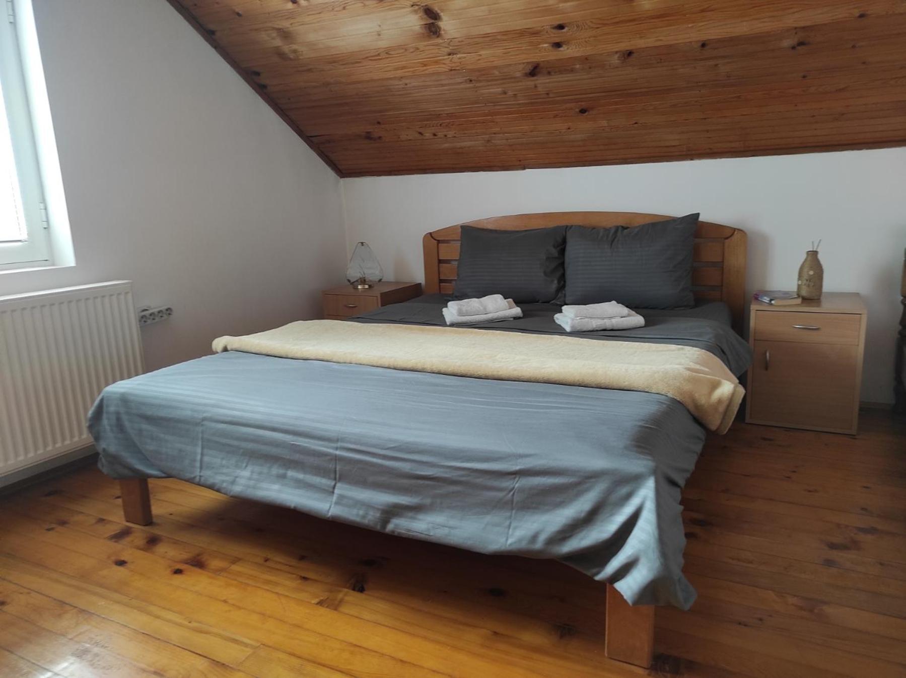 Vila Lenka Sokobanja Rum bild