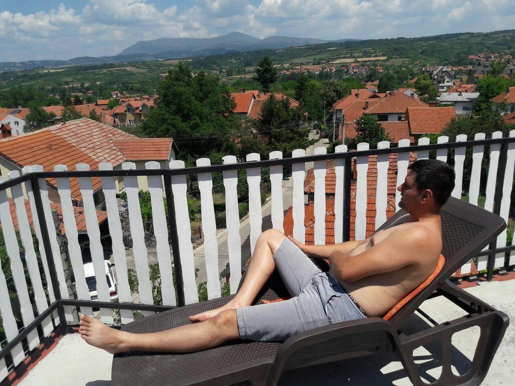 Vila Lenka Sokobanja Exteriör bild