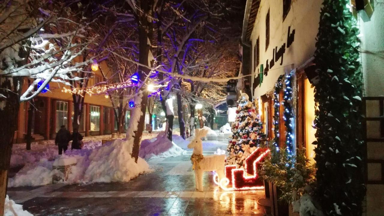 Vila Lenka Sokobanja Exteriör bild