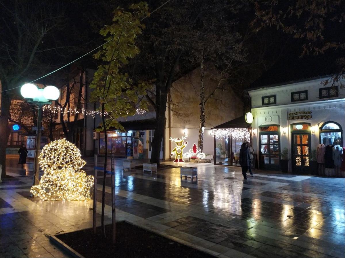 Vila Lenka Sokobanja Exteriör bild
