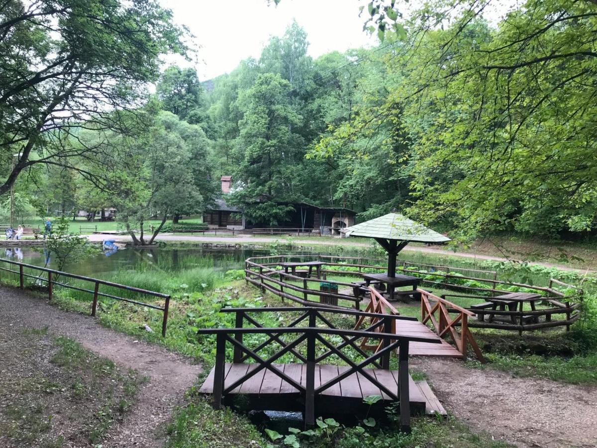 Vila Lenka Sokobanja Exteriör bild